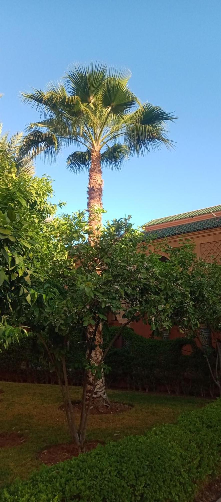 Riad Al-Bushra Marrakesz Zewnętrze zdjęcie