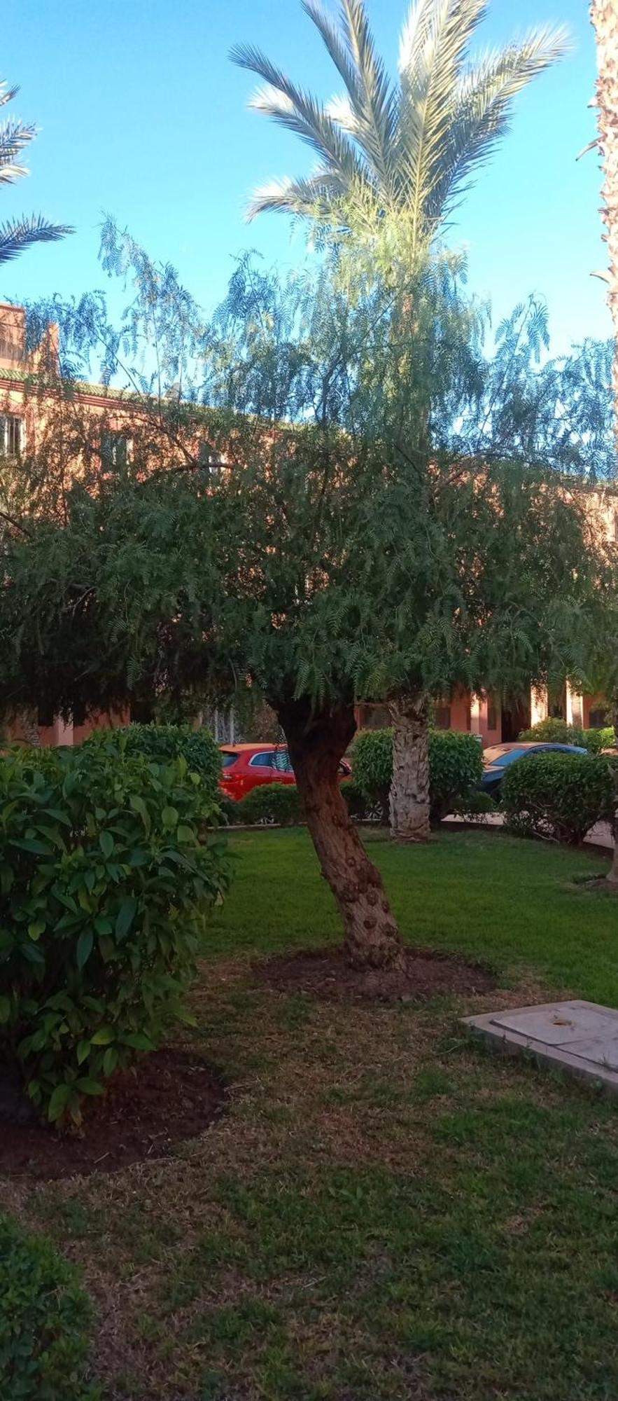 Riad Al-Bushra Marrakesz Zewnętrze zdjęcie